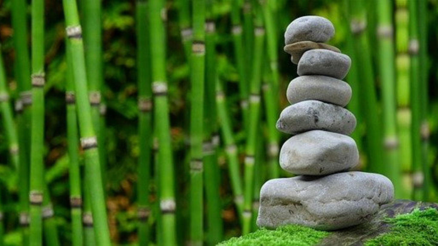 Pile up stones and forest