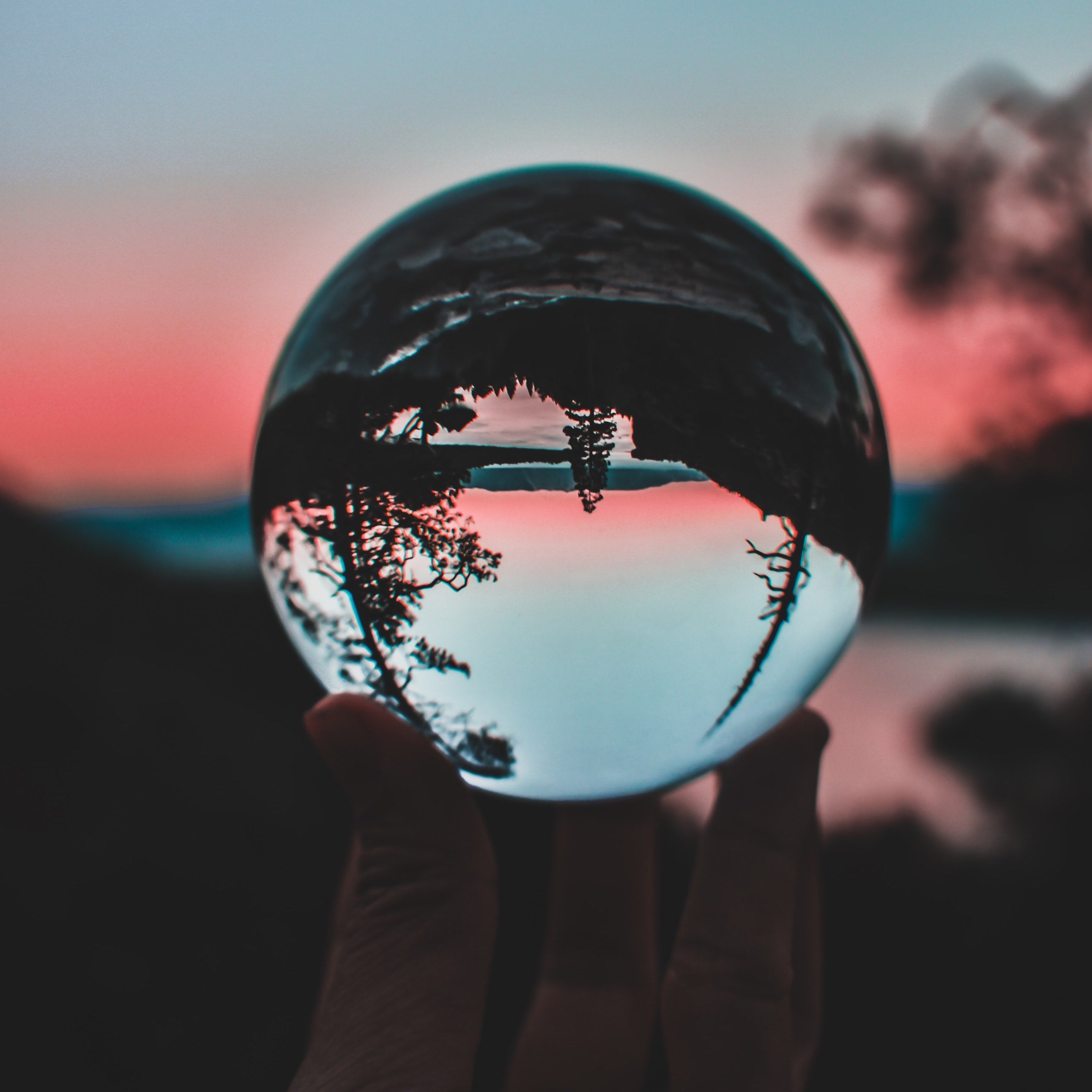Trees are reflected upside-down inside of a crystal ball balancing in someone's hand.
