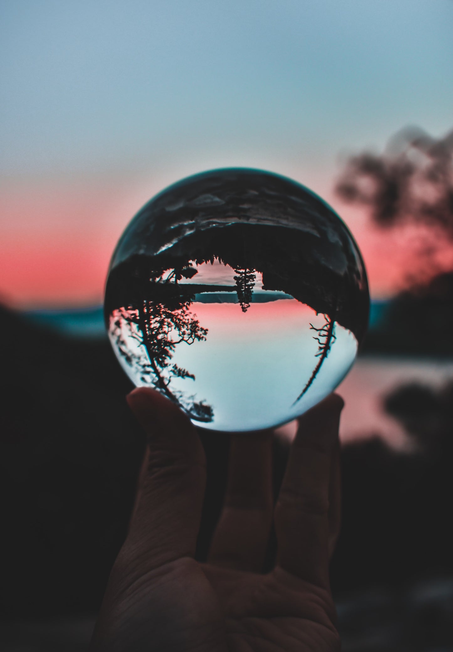 Trees are reflected upside-down inside of a crystal ball balancing in someone's hand.