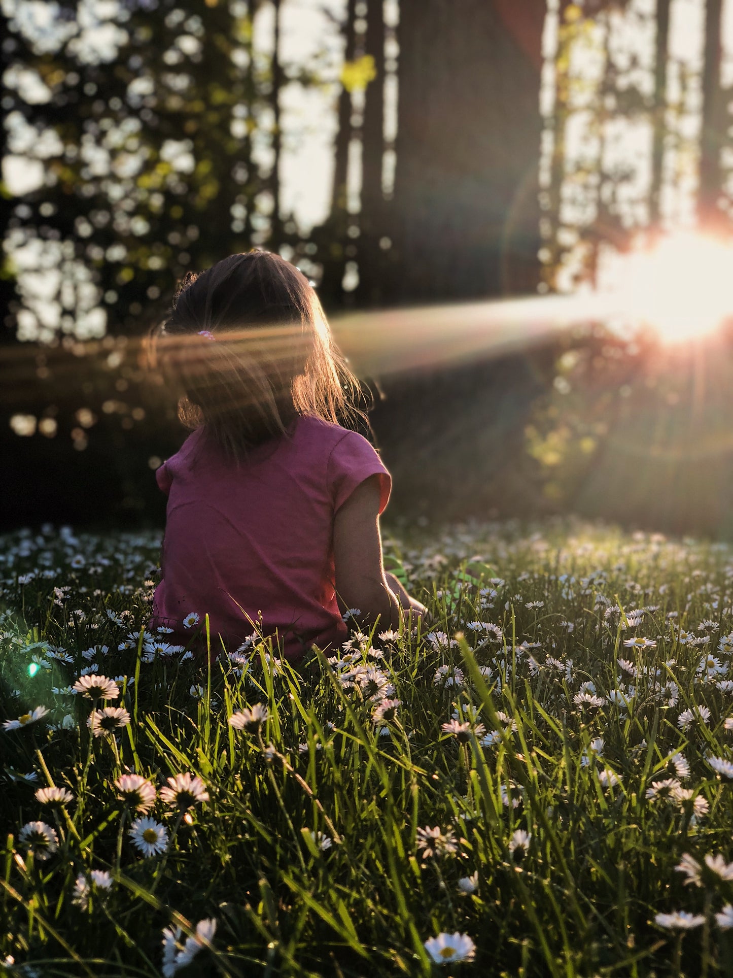 Breaking the Cycle of Fear with Mindfulness