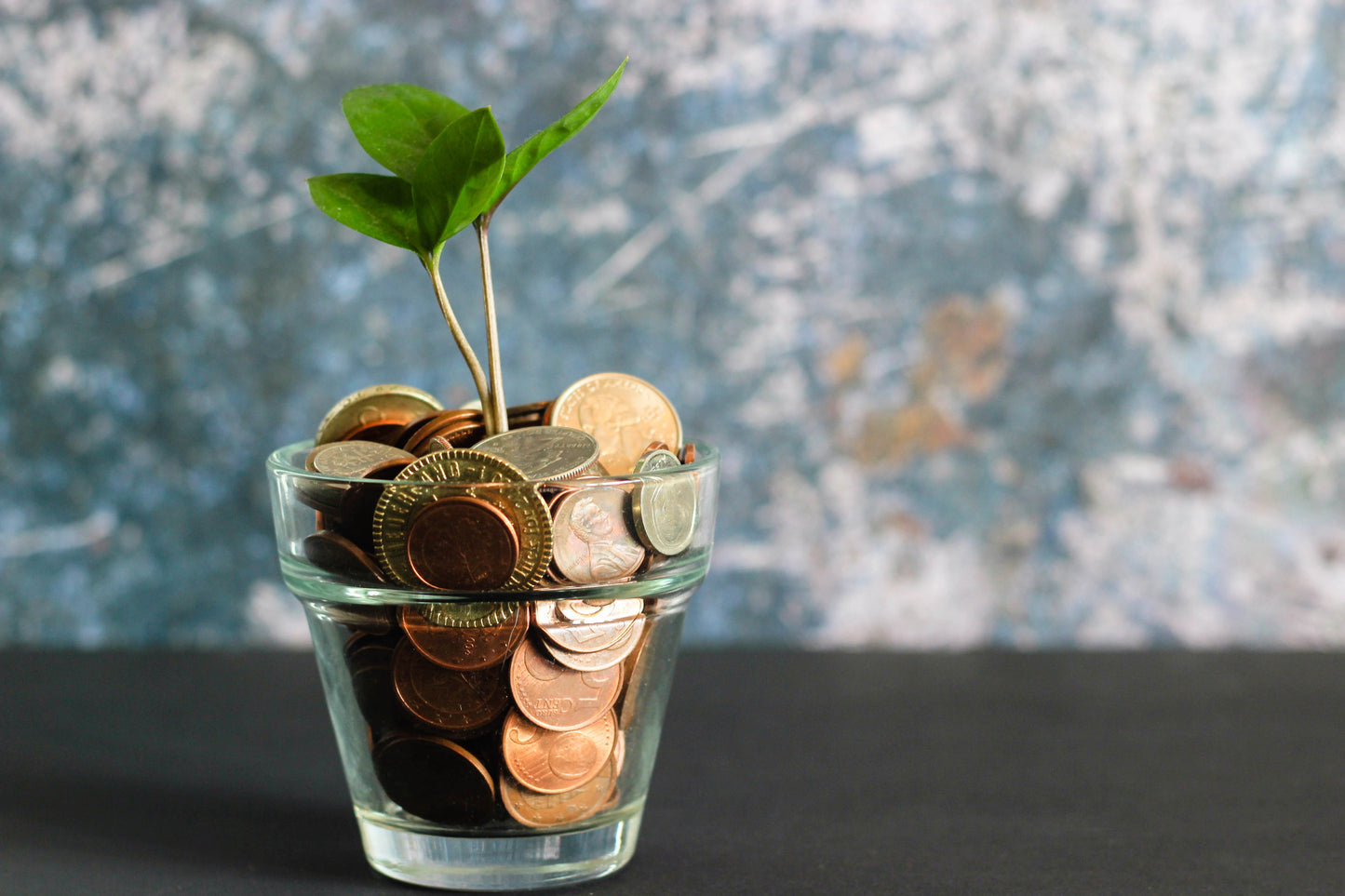 A tiny plant begins to grow out of a small glass full of coins.