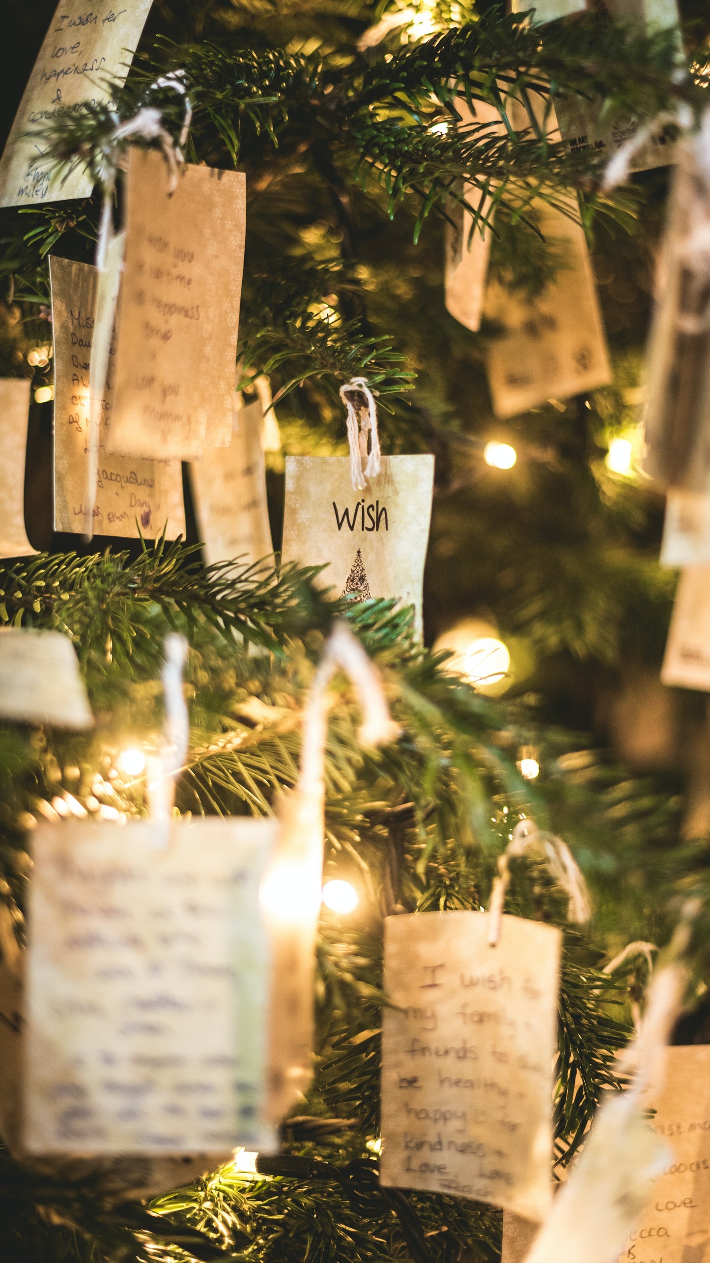 Christmas Quotes: Seasonal Sayings To Inspire